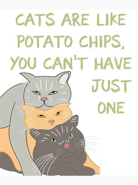 Cats Are Like Potato Chips You Cant Have Just One Poster By