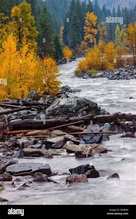 Wenatchee River In Autumn Stock Photo Alamy
