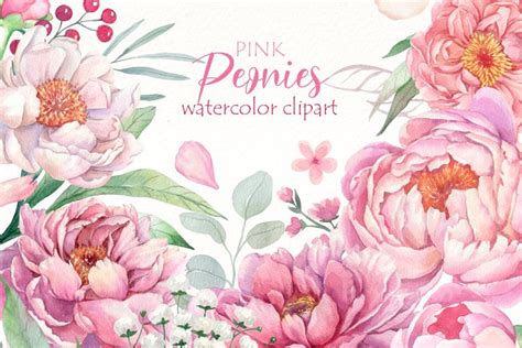 Watercolor Peonies Png Bundle Light Pink Floral Clipart
