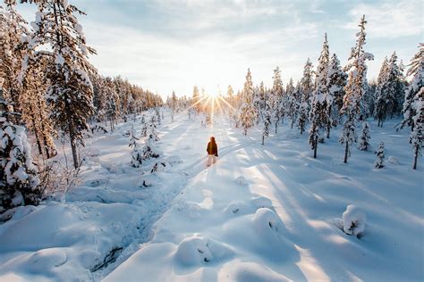 Lapland Sweden The Swedish Lapland A Special Little Piece Of The