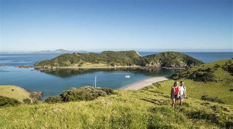 Bay Of Islands North Island Nz Top 5 Things To Do Aet Travel
