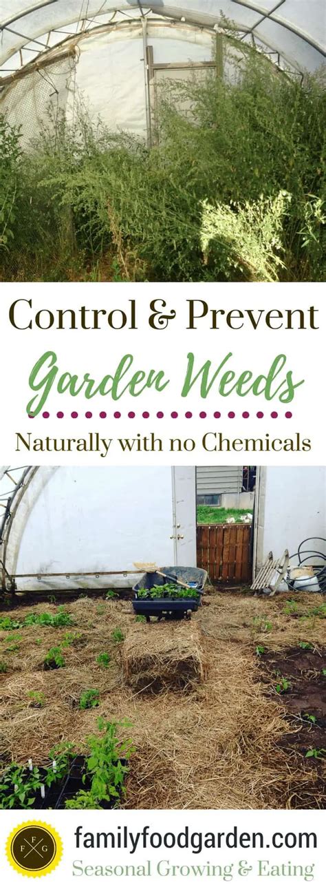How To Get Rid Of A Garden Full Of Weeds Garden Likes