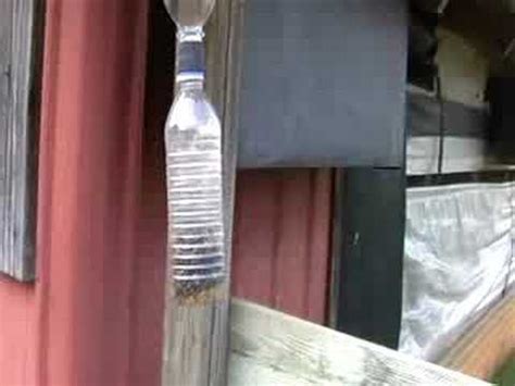 Use the smallest nozzle in your vacuum cleaner to keep carpenter bees away from your wooden furniture. The Best Carpenter Bee Trap Information - YouTube