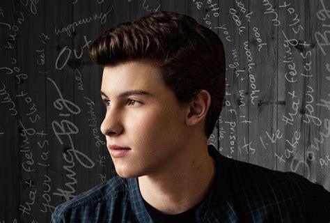 Shawn Mendes 4k Wallpapers Wallpaper Cave