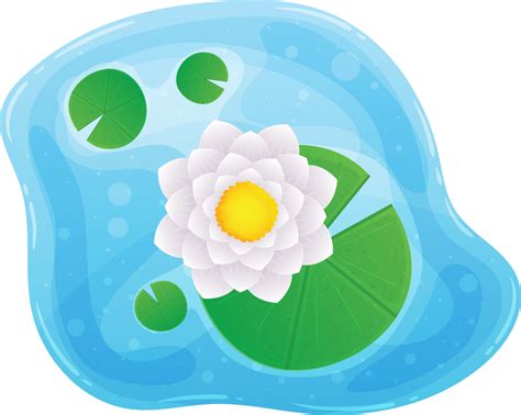 Water Lily Clipart 26750359 Png