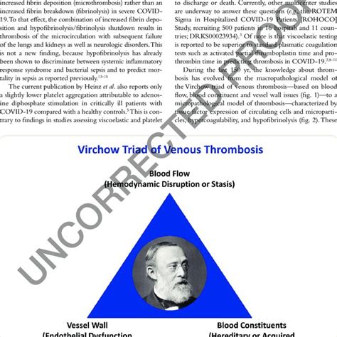 Virchow Triad Of Venous Thrombosis Download Scientific Diagram