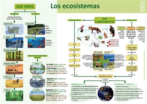Infografías de Ciencias Naturales Ciencias naturales Tipos de