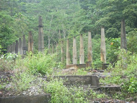 Tanih di kawasan bekas lombong kehilangan humus dan garam mineral yang diperlukan oleh tanaman. NOSTALGIA: KUNJUNGAN KE BANDAR 'MATI' SG LEMBING