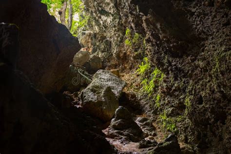 Mystery Cave In Tropical Forest Lush Fern Moss And Lichen On The