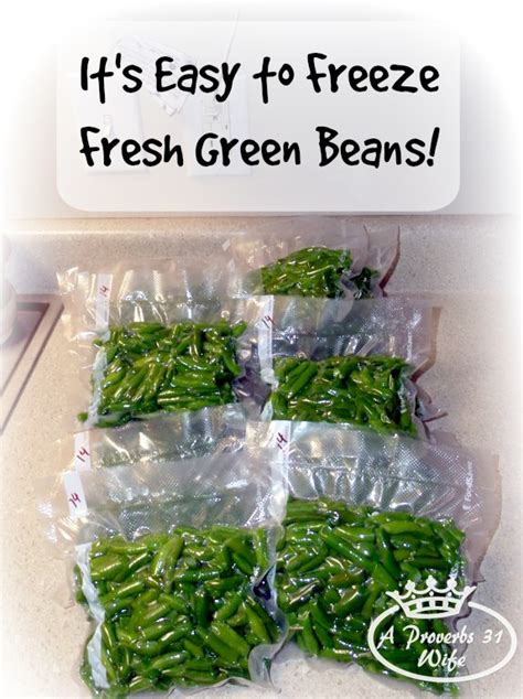 In order to keep things nice and simple for you, we introduce the simple steps you should take to freeze your green beans without needing to blanch them: How to Freeze Fresh Green Beans - A Proverbs 31 Wife