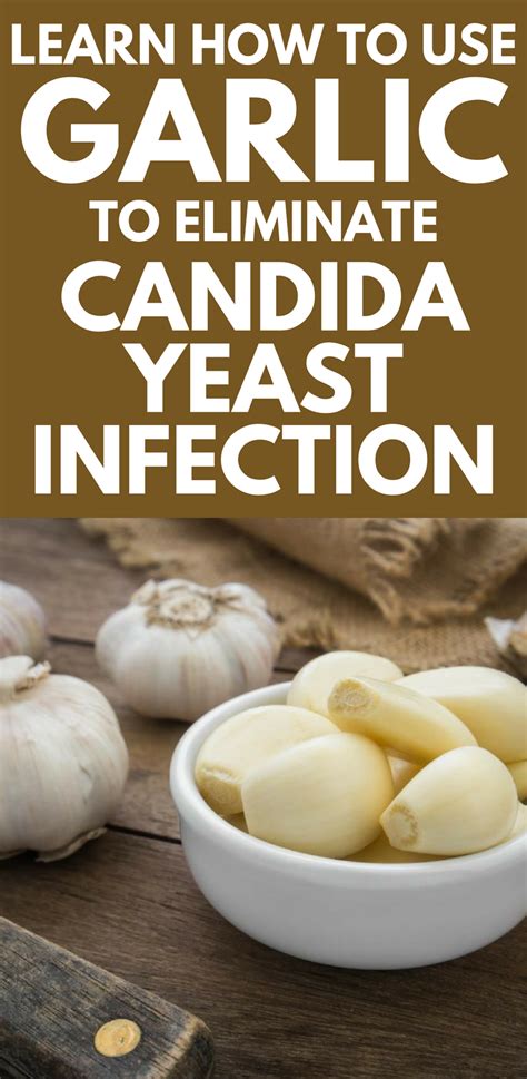 Learn How To Use Garlic To Eliminate Candida Yeast Infection Candida Yeast Candida Yeast