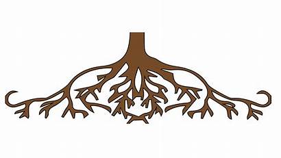Roots Tree Clipart Clip Root Transparent Animated