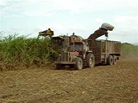 Wußtet ihr bereits, dass queensland schätzungsweise fünf mal so groß ist wie deutschland? Australien Queensland - Ernte von Zuckerrohr (Sugar Cane ...