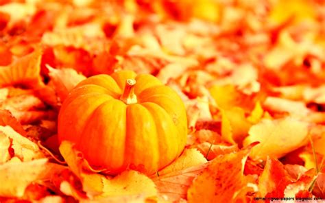 Fall Leaves And Pumpkin Wallpaper Amazing Wallpapers