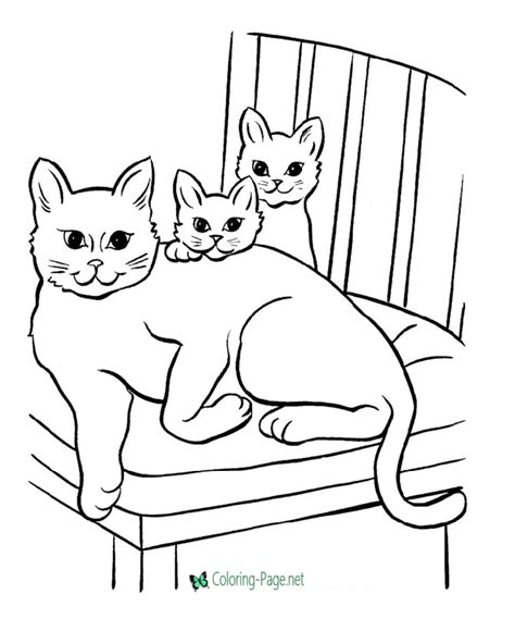Siberian cat coloring page from cats category. Cat Coloring Pages