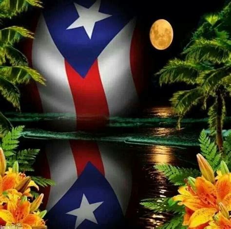 Que Belleza♡ Puerto Rico Map Puerto Rico Island Puerto Rico Food