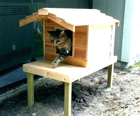 How To Build An Outdoor Cat House S Insulated Outdoor Cat House Plans