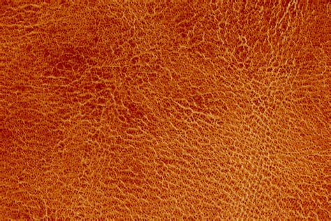 Free Images Nature Sun Leather Texture Floor Asphalt Orange