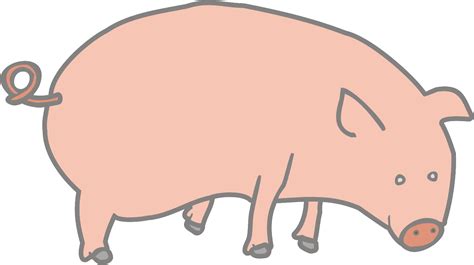Pork Clipart Domestic Animal Pig Clip Art Png Download Full Size