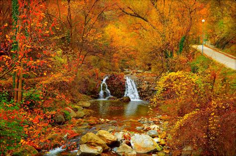 Colorful Earth Fall Foliage Forest Waterfall wallpaper | 2941x1956 ...