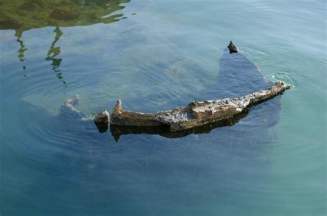 Wreckage Of The Ship Under Water Picture Of Uss Arizona Memorial