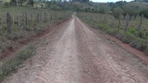 Long Dirt Road In The Middle Of A Cattle Farm Stock