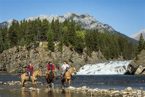 Banff Trail Rides Banff Trail Riders Official Website Horseback