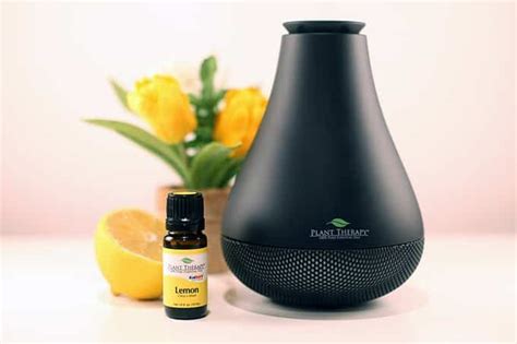 Plant Therapy Essential Oils Brand Review
