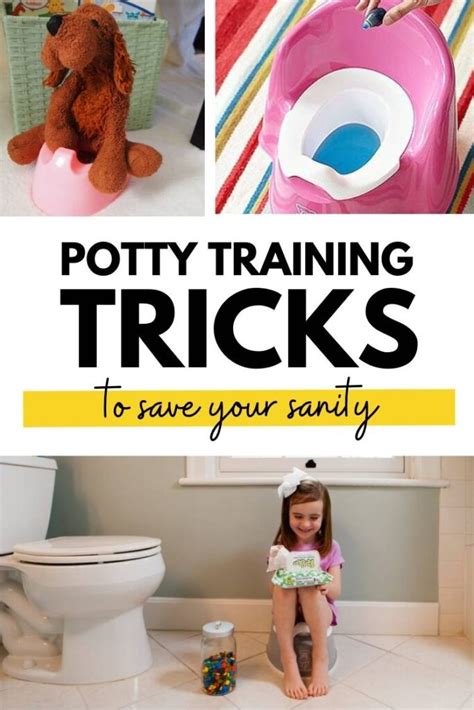 15 Potty Training Tips To Save Your Sanity