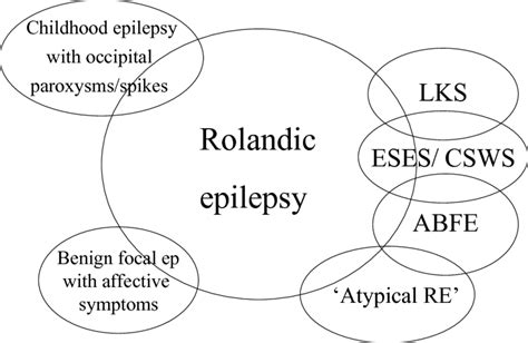 A Schematic Presentation Of Re Related Epilepsies And Conditions