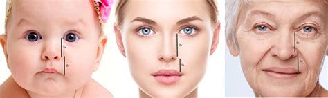 What Surprising Thing Your Face Loses With Aging Bone Moy Fincher
