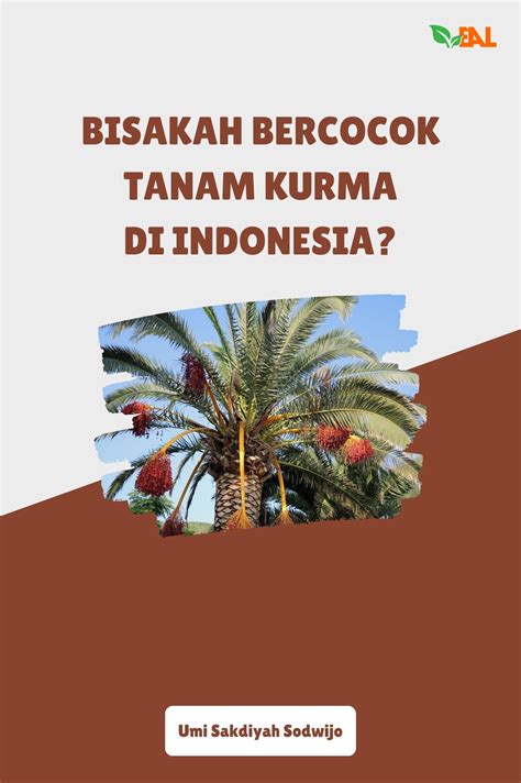 Bisakah Bercocok Tanam Kurma Di Indonesia Pt Elementa Media Literasi