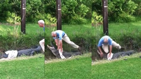 Watch Video Old Mans Spine Chilling Encounter With Alligator