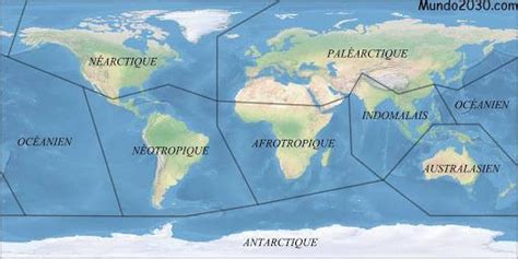 Zonas Biogeográficas De Todo El Mundo Y Sus Especificaciones