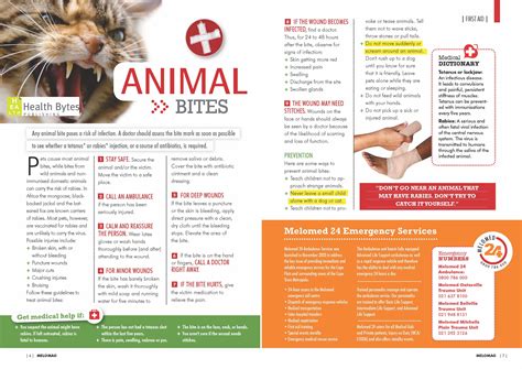 Mm04 First Aid Animal Bites Byte Dog Signs First Aid Pet Health