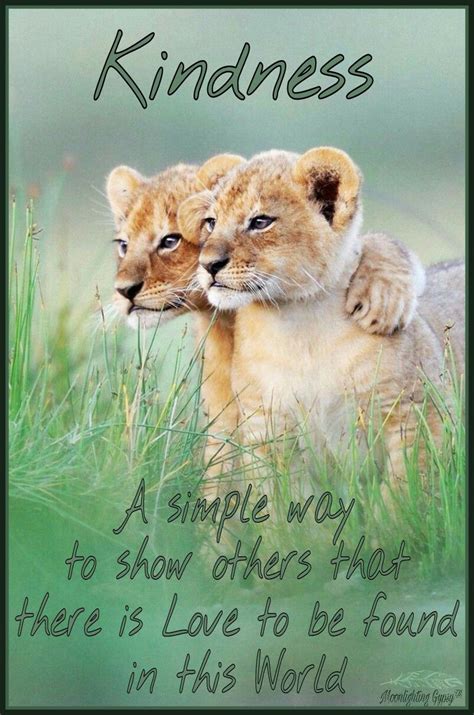 Very Simple Kindness Sayings Kindness Shows Itself In The Way We