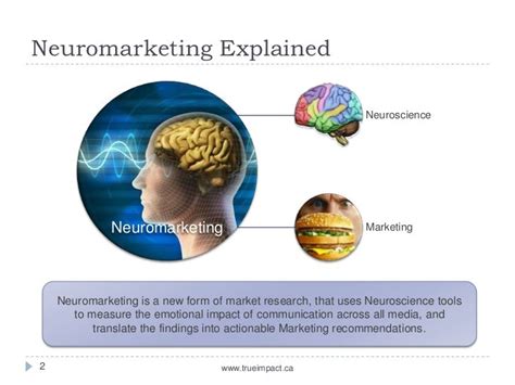 The Decision Making Process Neuromarketing Overview