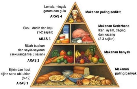 Anabolisme karbohidrat, lemak dan protein. Apa itu piramid makanan?? - GadisCantikJelita~