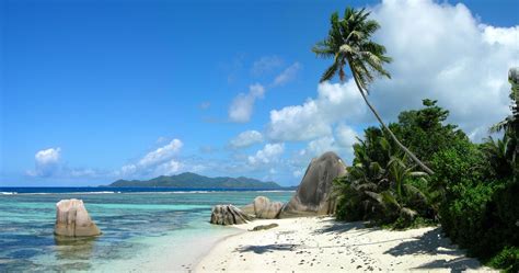 Tropic Island With Pal Trees 4k Ultra Hd Wallpaper High