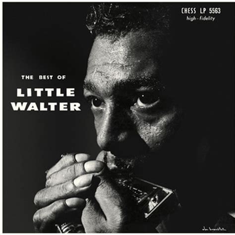Buy Little Walter Best Of Little Walter Vinyl Sanity