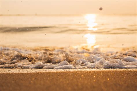 무료 이미지 바다 파도 부드러운 황금의 추상 배경 선명한 매력적인 하늘 모래 햇빛 육지 수평선 여름