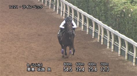 Jun 18, 2021 · マーメイドステークス2021予想 データが導く結論！ 6月18日(金)更新. 【レパードステークス2020】追い切り/動きを見極め勝利に近づけ