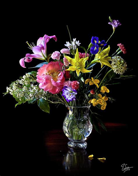 Flower Still Life Photograph By Endre Balogh