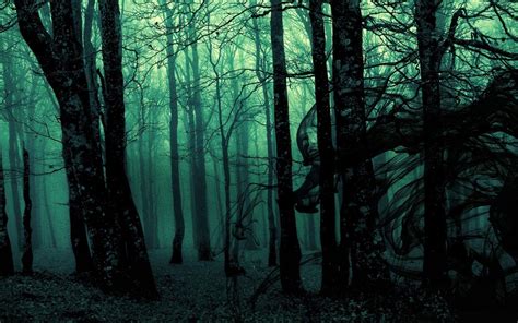 Dark Forest | WeAreWarriors Wikia | Fandom