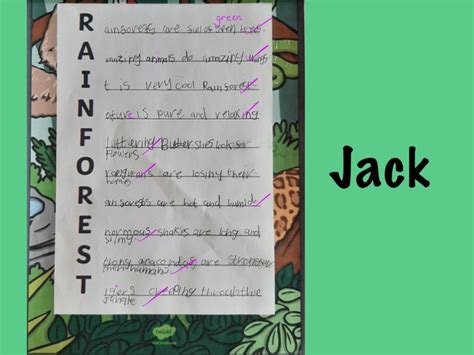 Rainforest Acrostic Poem Template Rainforest Teacher Made Hot Sex Picture