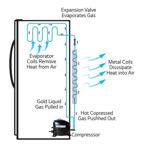 All You Need To Know About Refrigerator Lg Butterfly