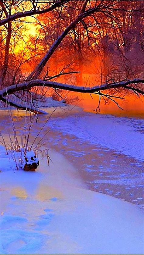Winter Sunset Evening Iphone Wallpapers Free Download