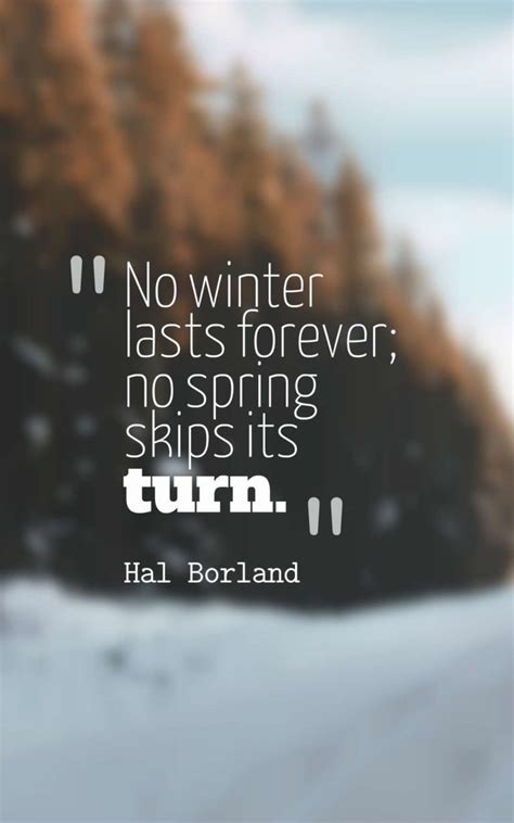 60 Beautiful Winter Quotes And Sayings With Images