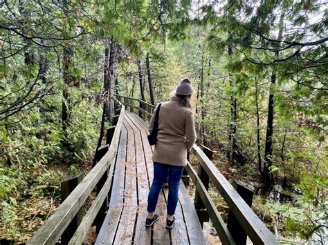 How To Visit The Incredible Crawford Lake Conservation Area Ultimate