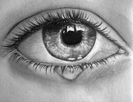 I'm not sure if i'm doing the right. Looking At Tears Under A Microscope Reveals An Interesting ...